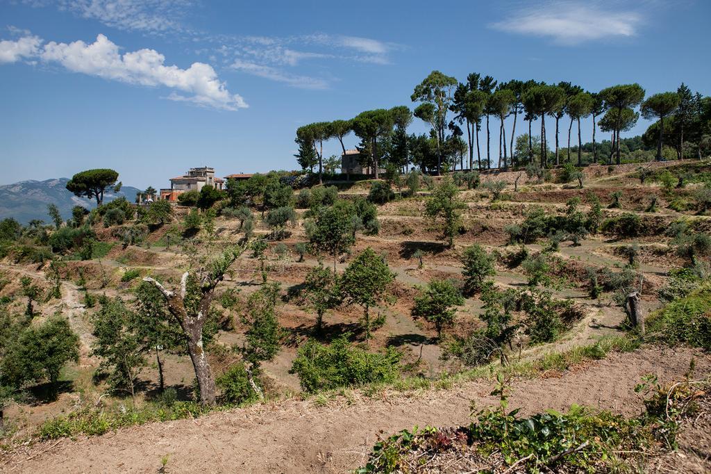 Agriturismo La Molara سيسا أورونكا المظهر الخارجي الصورة