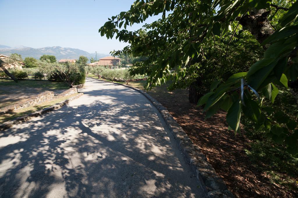 Agriturismo La Molara سيسا أورونكا المظهر الخارجي الصورة